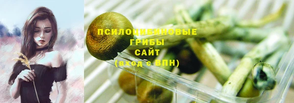 ГАЛЛЮЦИНОГЕННЫЕ ГРИБЫ Волоколамск