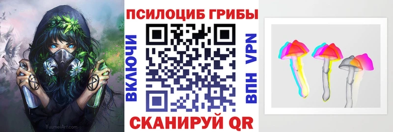 Псилоцибиновые грибы ЛСД  даркнет сайт  kraken зеркало  Волосово 
